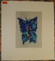 unleserl. signierte kl. Farblithografie, Schmetterling, 28x26 cm