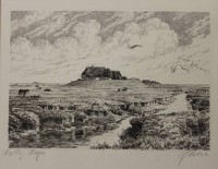 Auktion 335 / Los 5015 <br>Bödner o.ä., Hallig Hoge, Litho, ger./Glas, RG 33 x 43cm.