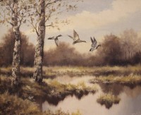 Auktion 348 / Los 4058 <br>Peter Zimmermann, Enten im Flug, Öl/Leinwand, gerahmt, RG 52 x 62cm