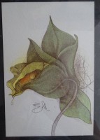 Auktion 350 / Los 5033 <br>Bruno BRUNI (1935)  "Orchidee" sign. Farblithografie, ger/Glas, RG 29x21 cm