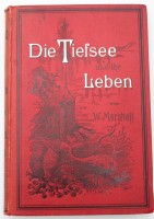 Auktion 350 / Los 3024 <br>William Marshall, Die Tiefsee und ihr Leben, 1888