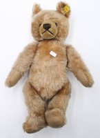 Auktion 353 / Los 12037 <br>Teddy von Steiff, Knopf und Fahne, ca. H-32cm