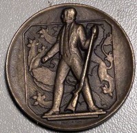 Auktion 354 / Los 7008 <br>Jubiläumsmedaille "100 Jahre Thurg.Kant.Schützenverein" 1935, Bronze, D-3  cm