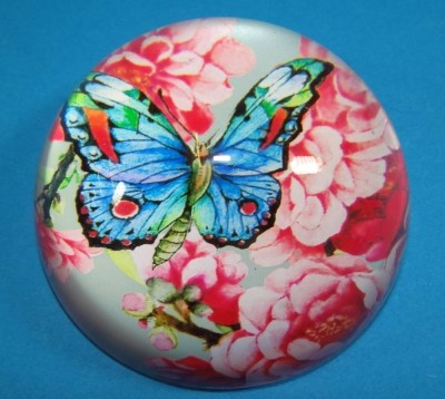 Auktion <br>kl. Paperweight mit Schmetterling, D-8 cm [1]