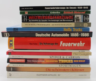 Auktion <br>14x div. Literatur über Automobile/Oldtimer [1]