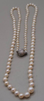 Auktion 349<br>Perlenkette mit Weissgoldschliesse, Diamanten, L-62 cm, Perlen wohl Modeschmuck ca. D-30 mm [1]