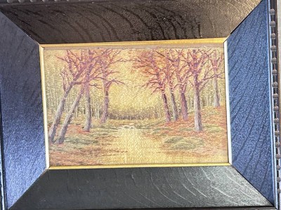 Auktion 356<br>Seidenstickbild, ger/Glas, Herbstwald, breit gerahmt, RG 26,5x34 cm [1]